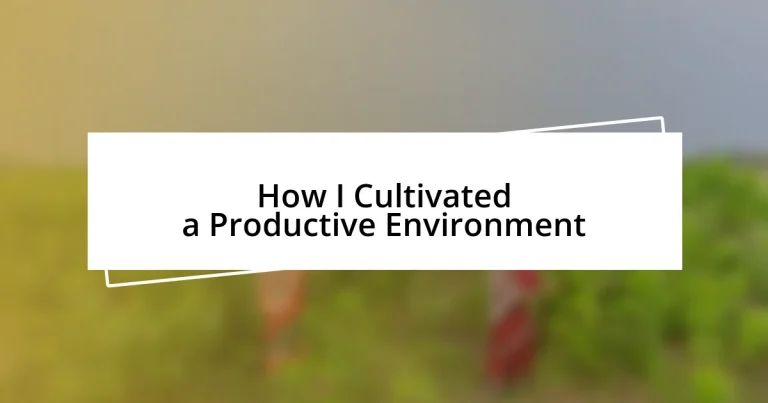 How I Cultivated a Productive Environment