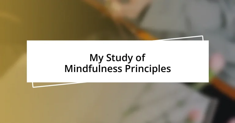 My Study of Mindfulness Principles