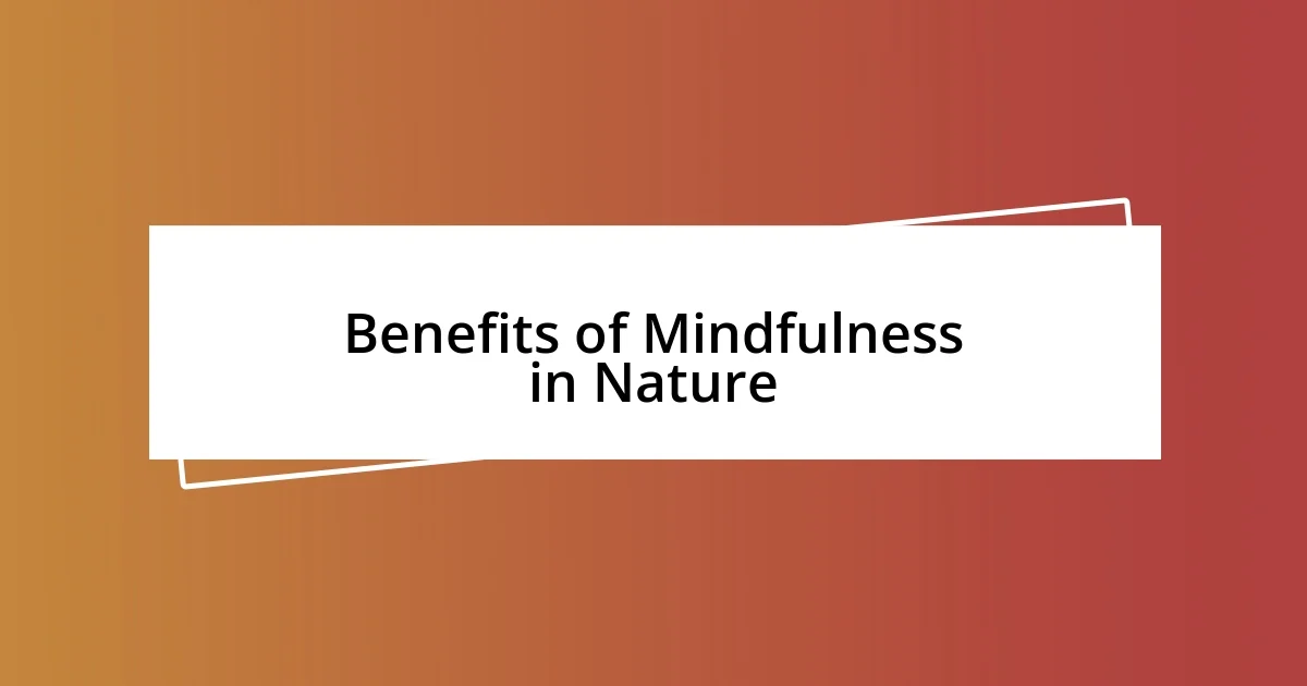 Benefits of Mindfulness in Nature