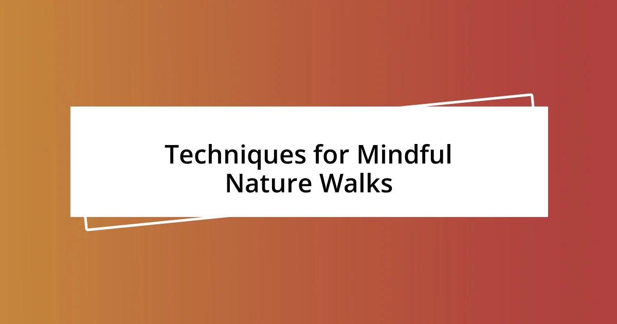 Techniques for Mindful Nature Walks