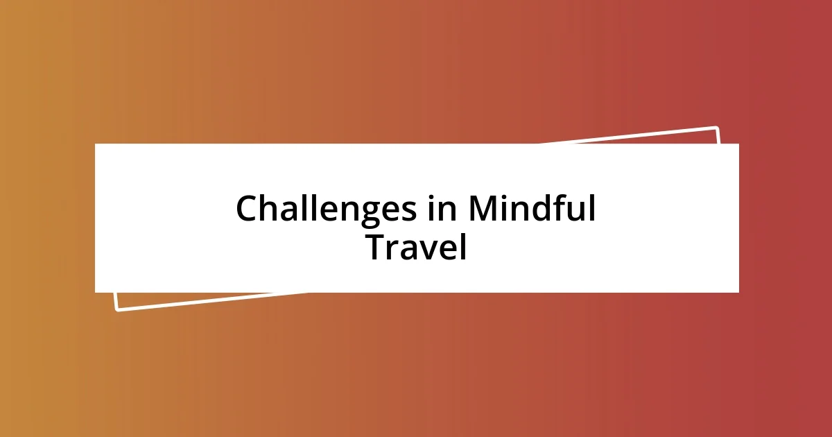 Challenges in Mindful Travel