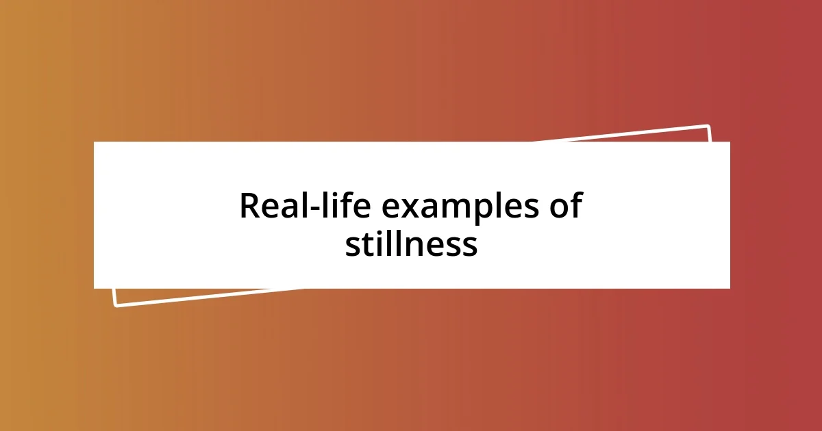 Real-life examples of stillness